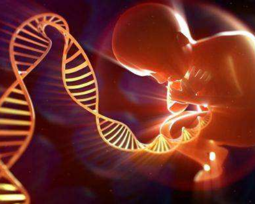 引产多久怀孕可以香港验血,试管移植后14天内食谱-一位双胞胎妈妈的分享