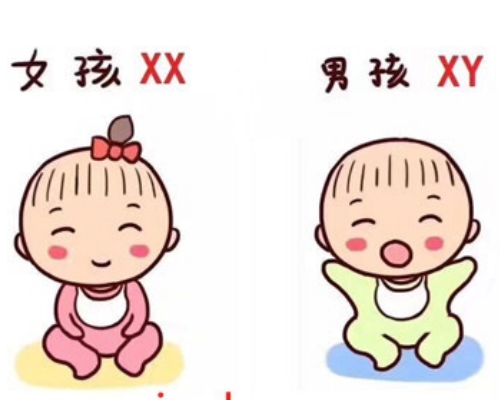 香港验孕验血报告单怎么看,江苏省无锡市2022年供卵试管助孕医院排名（含成功
