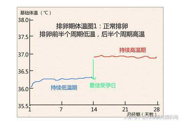 香港验血b超周数大,2020年不适合生女孩的月份，生女宝宝备孕时间表