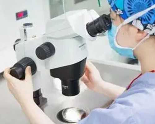 香港验血查性别机构那家好_作文题目：咀嚼生活的真味。要求：600字以上。咀