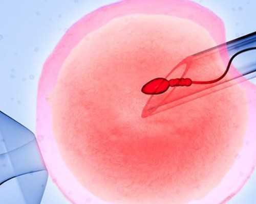 去香港验血怕不准_香港验血的最佳时间_查性别详细流程是什么!