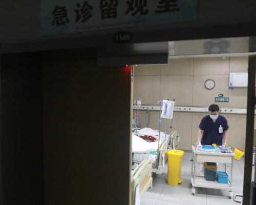 泵浦源工作原理动画_高岭：艺术的边界 一个当代情境中的老问题