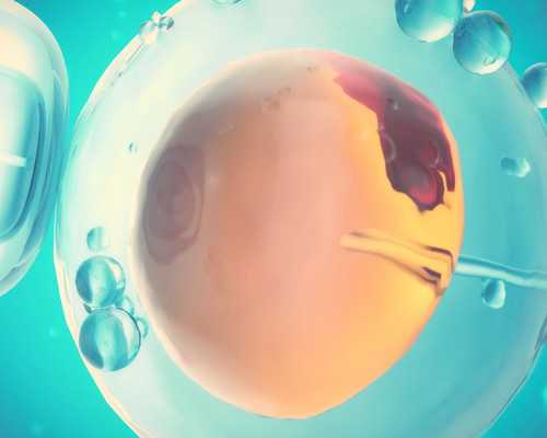 怀孕十五周能不能过香港验血_科普香港6周验血查胎儿性别，这些关于胎儿男女