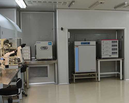 香港验血一般要孕囊多大_几周可以到香港验血_验血查性别化验所哪家准!