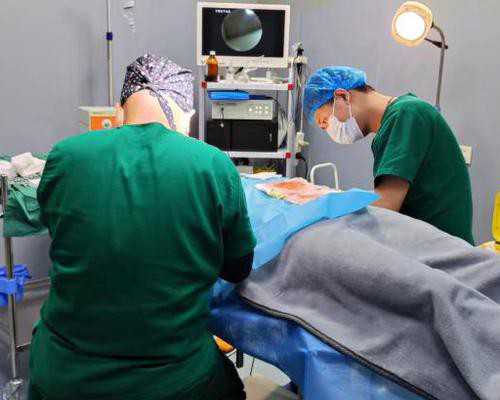 长沙送香港验血多久出结果_香港检测性别准确吗？需要多少钱？