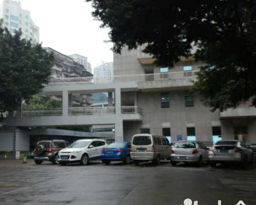 香港医院验血能看出怀男孩女孩吗_香港验血辨男女原理_详细的步骤都在这