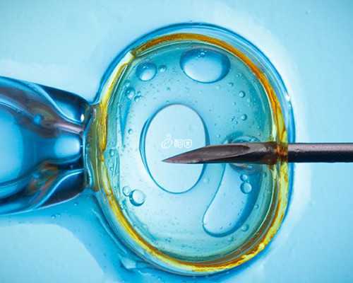 香港验血检测男女什么时候验准_去香港做性别测试多久最准？分享那些你所不