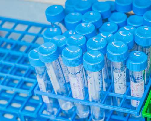 污泥切割泵_档案馆开放 可近距离欣赏“500岁诰命”