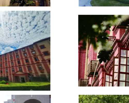 香港验血当天需要b超吗_可以去香港查胎儿性别_验血查男女需要多少钱!