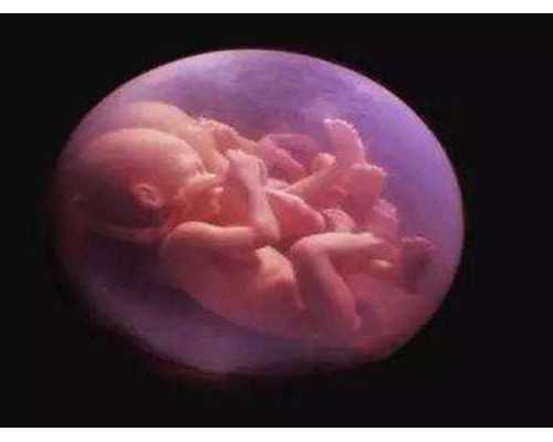 香港验血测性别价格_香港具备验血的资质机构_最详细的介绍流程