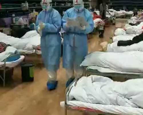 去香港验血出结果_产前亲子判定需求几天？(判定吧)