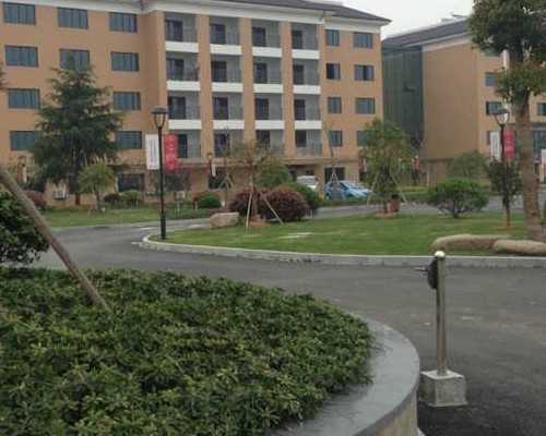 香港验血5周可以验出吗_香港验血9周可以查吗_真的有那么高准确率吗!