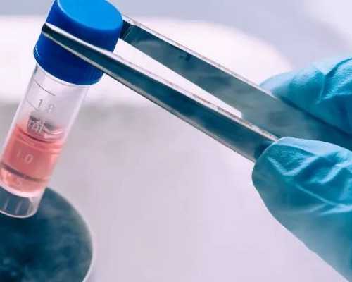 香港验血5周可以验吗_怀孕了怎样看男女_验血和B超都是男孩会翻盘吗