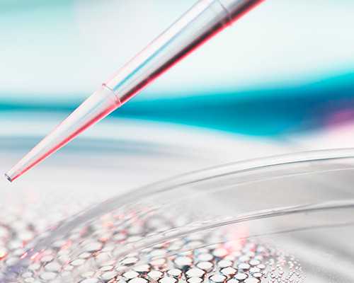 香港验血最早几周多少钱_仗义英雄的幕后制作解释你看的四大名著