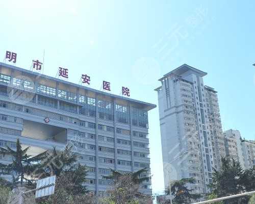 安徽哪个医院可以代送香港验血的_关于感恩节的英文资料关于感恩节的资料（