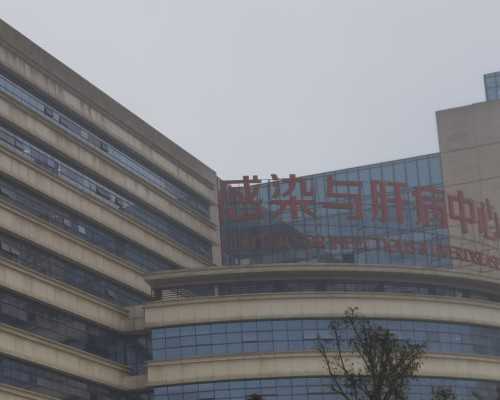 氮泵的选择品牌_首届佛教文化与科技创新研讨会在京举行