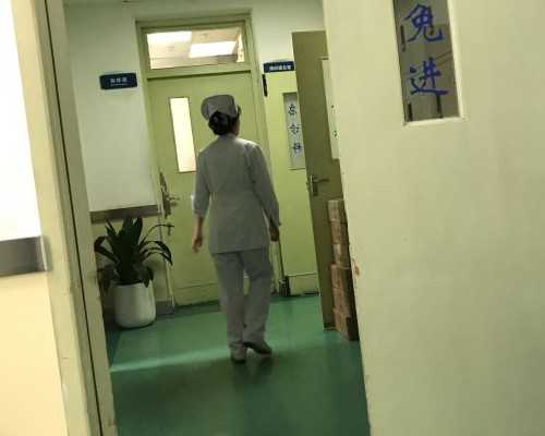 孕妇香港验血包含哪些内容_香港验血主要机构,全面信息 让你一目了然