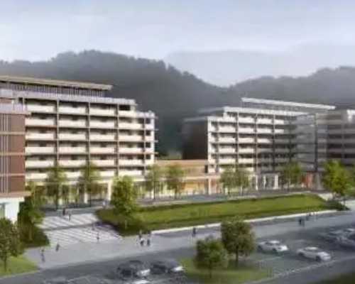 香港7周验血 有没有可能误差_香港验血测男女条件_讲述我到香港验血的全过程