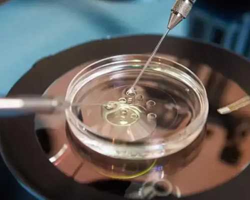 上海抽血送香港验血多少钱_广州有什么中介可以去香港查性别的_需要多少钱一