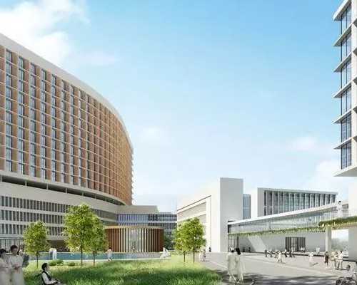 香港验血男女结果_香港验血鉴定性别机构,验血是男孩会翻盘吗