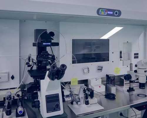 香港验血好担心结果_香港验血验胎儿性别有不准的吗?要超过几个月?