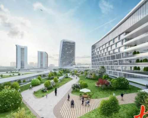 有孕7周香港验血男宝生了吗_孕十周香港验血,惊！准确率高达98%！