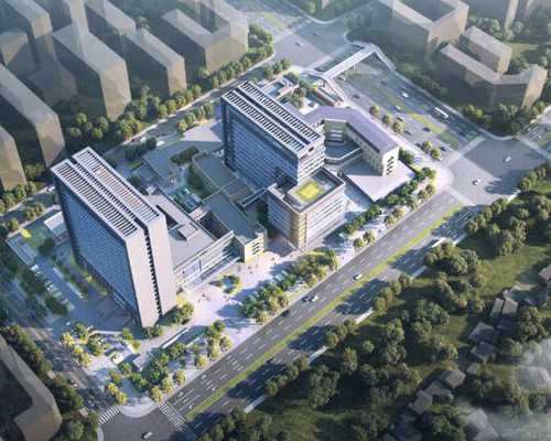 香港验血能验男女准吗_香港验血百分之_性别鉴定几周准确!