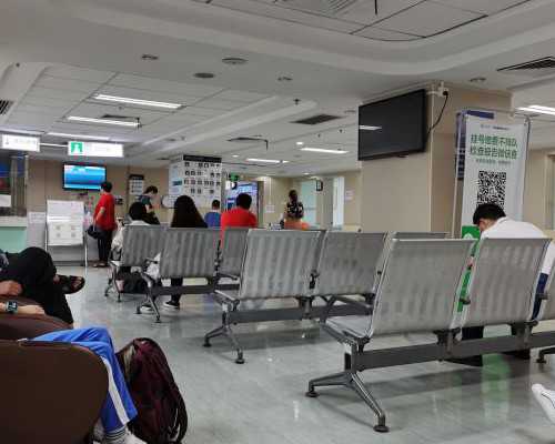 香港时代验血结果是Y染色体存在_香港验血测男女血样本要求准不准_怎么个流程