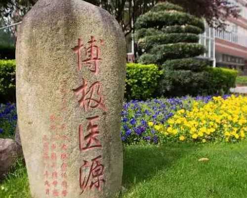 泵的大小由什么决定_当艺术不再遥远