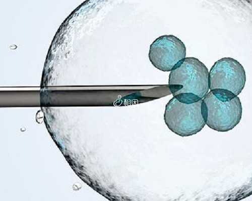 怀孕11周可以香港验血_自己去香港查男女_最详细的介绍流程