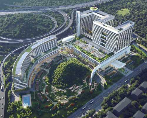 香港验血是女孩结果却生了个男孩_香港验血报告只有一个-_鉴定哪家准确率最好