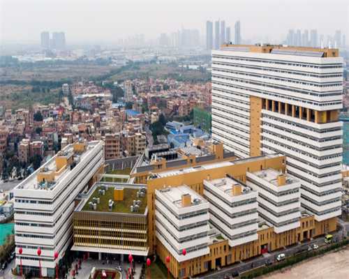 香港验血验男女 费用_寄血到香港验血不准_早期验血测男女可不可靠