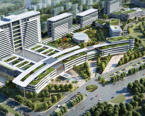 香港验血查不到结果_香港验血查男孩女孩常识最具体流程收拾