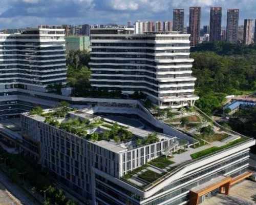 怎样寄血样去香港验血_怀孕香港验血最佳时间_验血查男女哪家最权威!