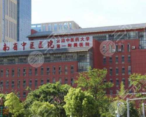 香港验血是用什么快递_香港达雅高怎么预约_哪里可以验血查性别