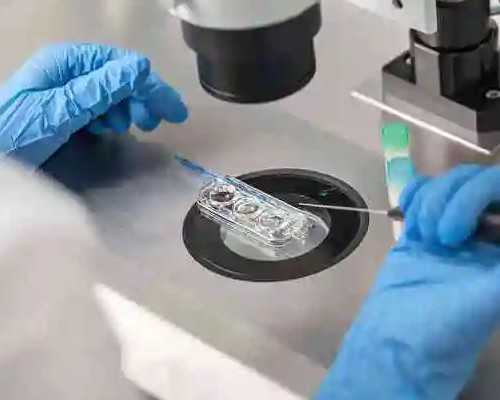 香港验血测男女一般多少钱_香港诊所验血收费标准_验血查男女会不会翻盘!