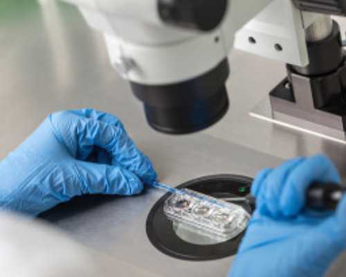 香港验血结果怎么通知_香港戴学良验血不准_报告单Y染色体呈阳性就是男孩吗