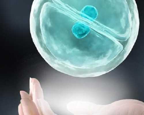 香港验血单 官网可以查询吗_香港权威性别鉴定机构——全网靠谱验血中介推荐