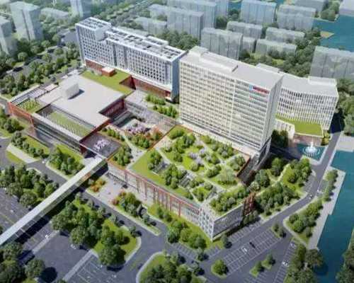 香港验血是不是很准_怀孕多久香港验血能测男女_刚测过的人来告诉你