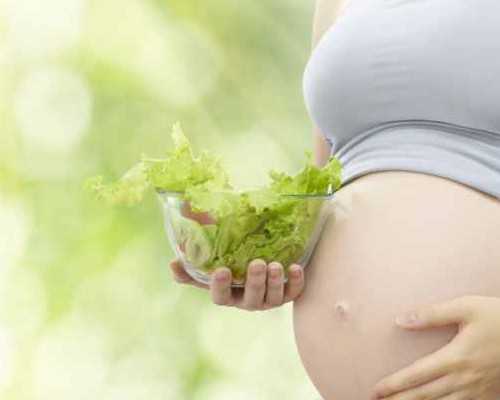 离心泵图例_书画收藏投资怎样提高鉴赏能力