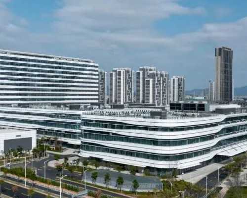 外用氮泵是什么原理_首届中国写意油画静物专题硏究展在长沙李自健美术馆开