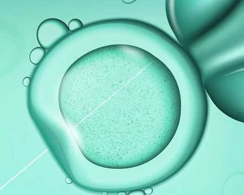 黄芪红枣枸杞茶可以长期喝吗