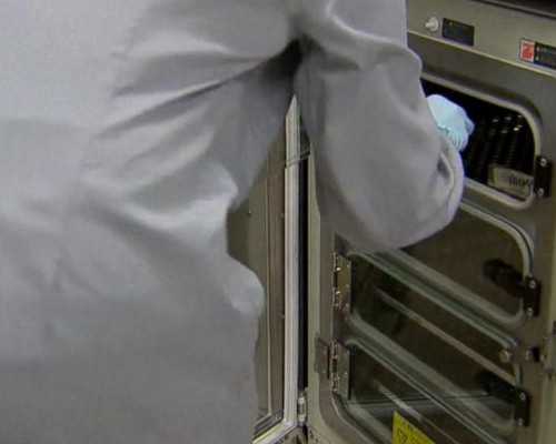 试管移植后能吃洽洽瓜子吗？试管移植后可以吃瓜子不？-助孕包男孩