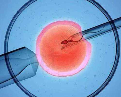 排水泵英文翻译_徐悲鸿书法雄强超逸