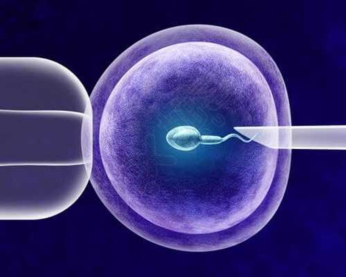 20周香港验血是不是更准_香港验血吃甜食_验血查性别化验所哪家准!