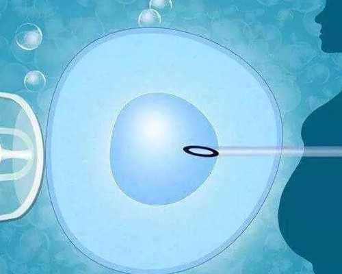 香港验血测男女多久有结果_香港验血查男女为什么抽两管血,需要预约吗具备什