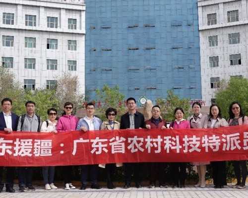 试管婴儿助孕中心：胎停育的症状有哪些胎停育的治疗方法？