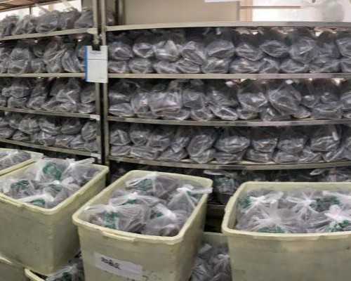 香港验血双胞胎可以验出男女吗_以“学习雷锋好榜样”为题的作文学习雷锋好