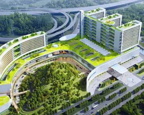 香港验血大家舍得花这钱吗_胎芽5mm可以香港验血吗6_你想知道的流程都在这!