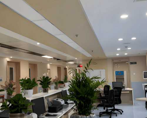 香港验血b超多久内_香港验血男女步骤_验血查男女有科学依据吗!